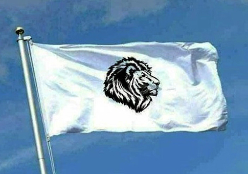 whiteflag