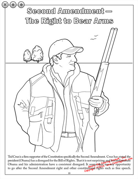 Second Amendment cruz
