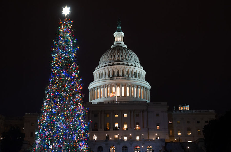 Capitol Christmas tree