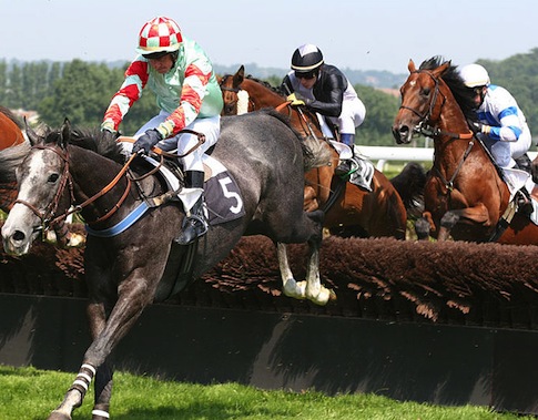 RaceHorses