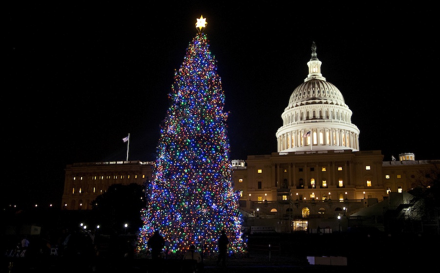 Christmas tree in Washington, D.C.