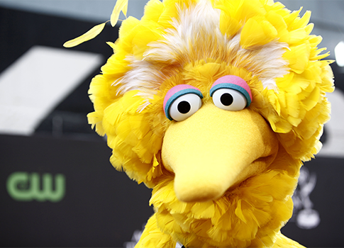 Big Bird Asks to Be Left Out of Politics