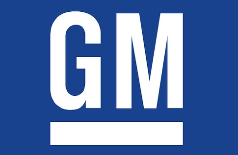 Terrible Year for Government Motors