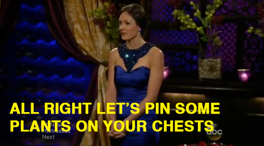 Bachelorette Recap: The Broken Finger