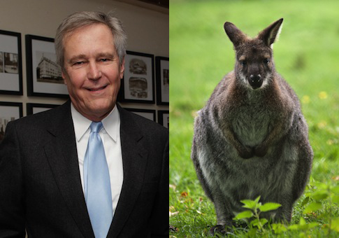 Former Carter Speechwriter Fails to Intimidate Wallaby