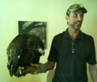Man Rescues Bald Eagle, Could Face Jail Time