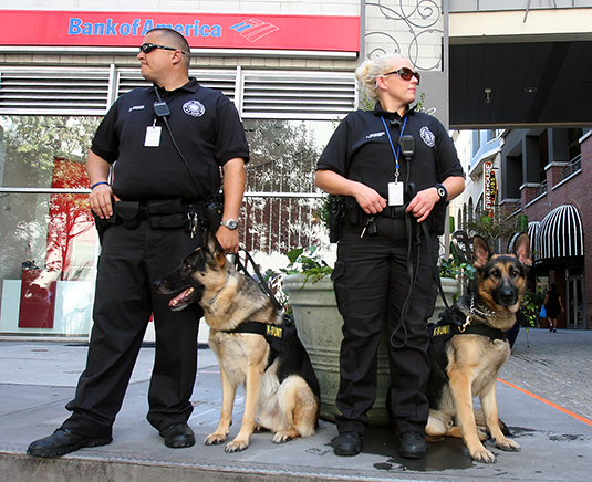 Charlotte Police Ate $31,878.39 Worth of Arby's During DNC