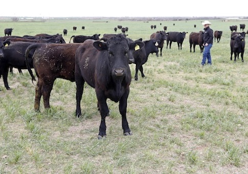Senators Question EPA Leak of Private Farmer Info