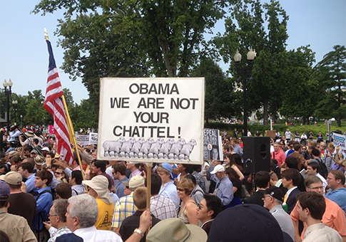 Conservative Women Criticize Obamacare