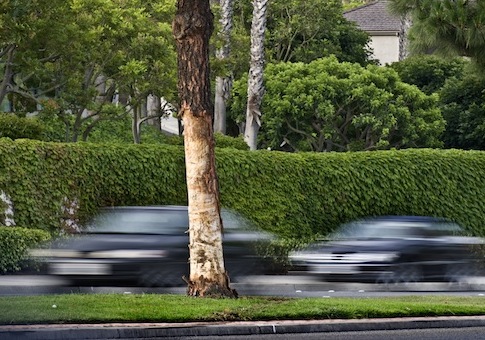 Department of Transportation Cancels Stimulus Audits