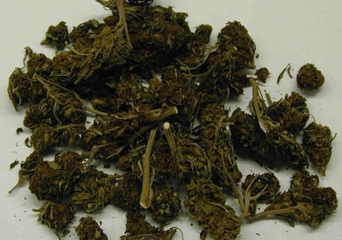 Weed Groups Applaud DOJ Marijuana Decision