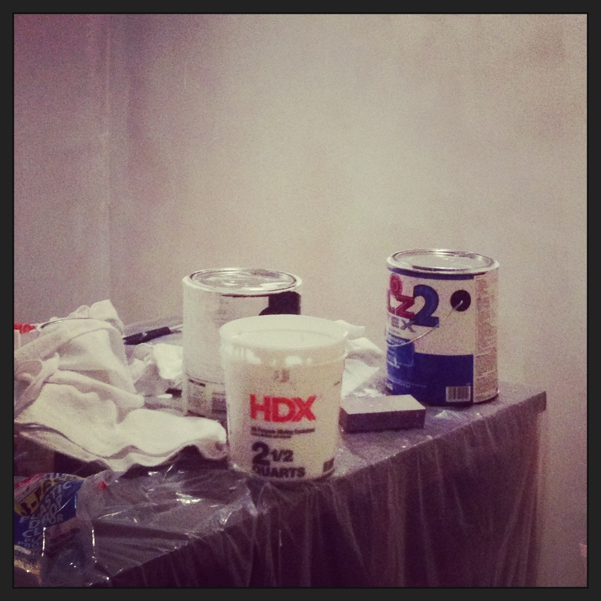 Improving Your Home with a Moron