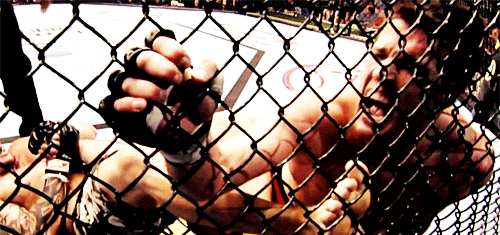 Chael Sonnen, UFC Tap Out Union
