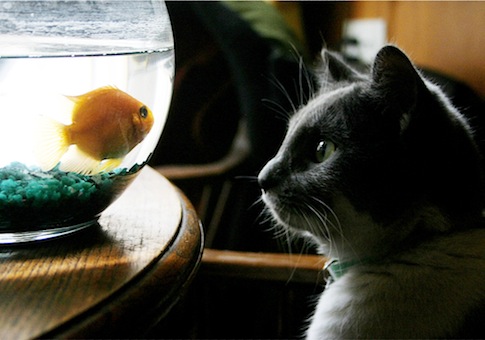 Who Will Blink First?