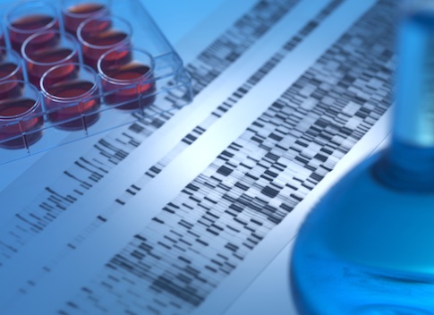 NIH Gives Grants for Adult Stem Cell Research to Vatican-Backed Scientists