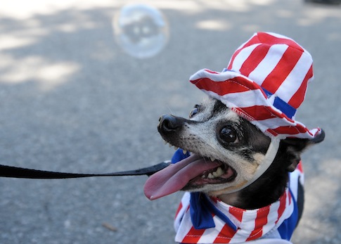 The China Threat: Fido Edition