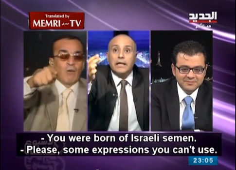Assad Supporter Melts Down: 'You Were Born of Israeli Semen!' (Video)
