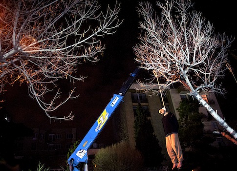Iran Hangs 40 People in Two Weeks