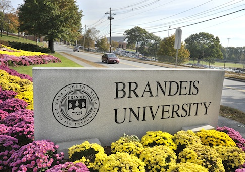 Brandeis University Faculty Sent Letter Demanding School Rescind Ayaan Hirsi Ali Honorary Degree