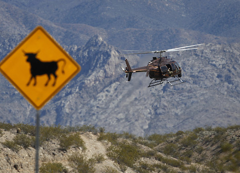 BLM Won’t Say if They’ve Euthanized Cows in Ranch Standoff