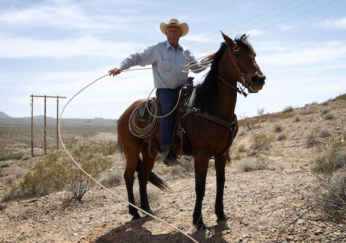 PETA Responds to BLM Mistreatment of Bundy Cattle: ‘Go Vegan’