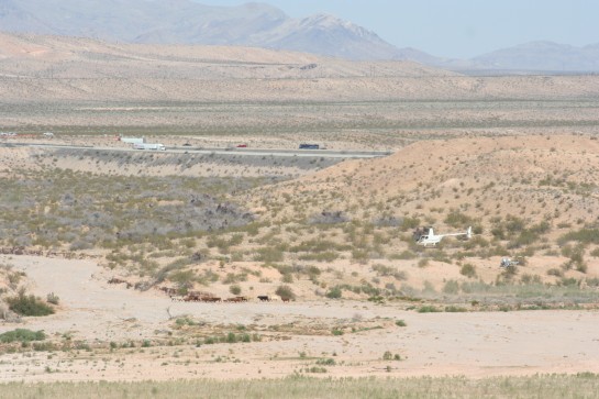 Standoff at Nevada Ranch Drags On
