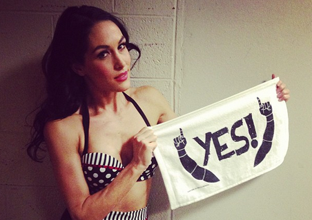 Celebrate Daniel Bryan's WWE Championship With Brie Bella
