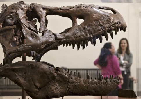 Michelle Obama Wants You to Dance About a T. Rex to Lose Weight