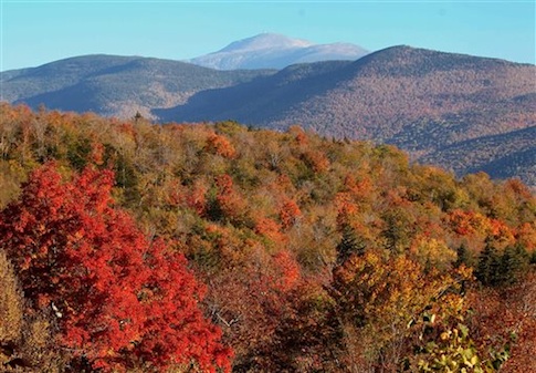 Guns, Weed, and Bitcoin: Among the Free Staters at Porcfest