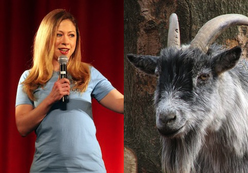 Kenyan Who Offered 40 Goats and 20 Cows to Marry Chelsea Clinton Dies