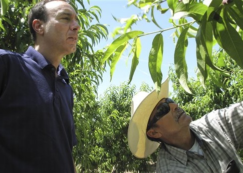 California Forces Farm Workers into Union