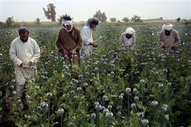 Tribal Leaders and the Future of Afghanistan