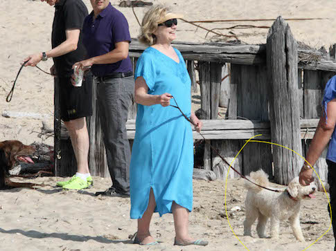 2014 Man of the Year: Hillary’s Service Dog