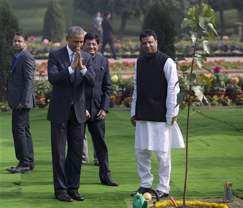 Obama's Tree at Gandhi Memorial in India Dying