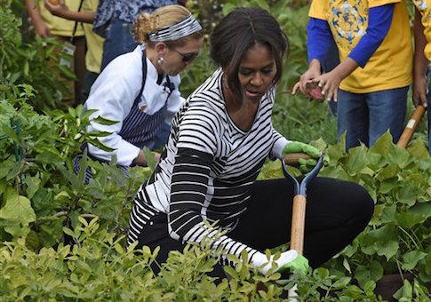 Michelle O: ‘Cheese Dust Is Not Food’