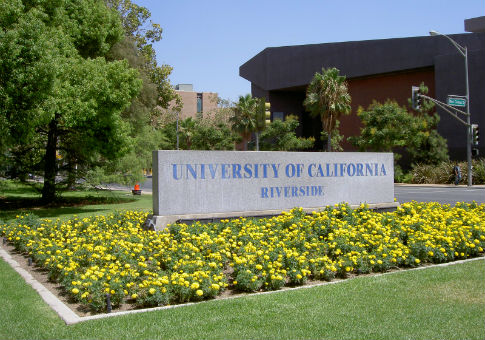 Pro-Israel Groups Blast ‘Anti-Semitic’ Course at UC Riverside