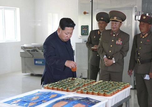 Dissidents: North Korean Nuclear and Missile Experts Visit Iran
