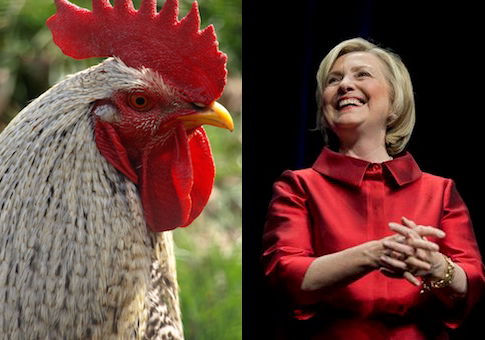 Terry McAuliffe Named His Pet Chicken 'Hillary'