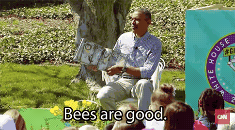 Bees Invade Capitol