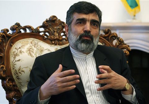 Iran Threatened ‘Harm’ to Top Nuke Inspector to Prevent Disclosure of Secret Deal