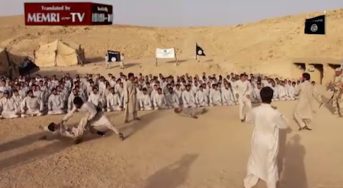 Pentagon Not Targeting Islamic State Training Camps