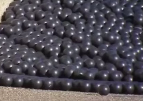 LA Mayor: Thirsty California Needs Cool Black Balls