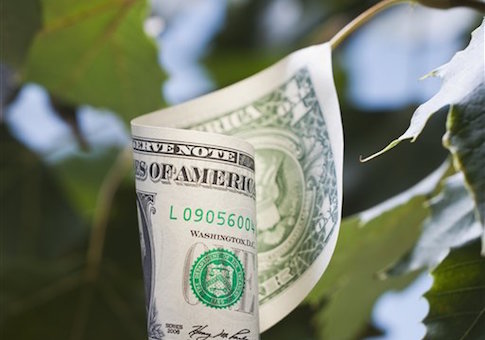 IG Finds Extensive Abuse of Stimulus Energy Efficiency Funds