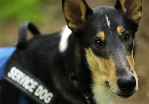 Army Soldier ‘Kicked to the Curb’ From Restaurant for Having Service Dog