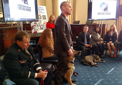 Hero Dog, Wounded Marine to Attend American Airlines Charity Event for Veterans After Being Denied Flight