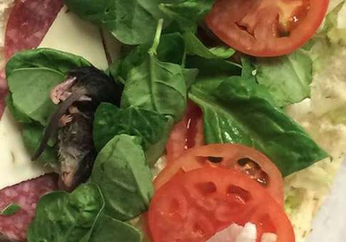 Health Department Not Worried About Dead Rodent Found in Subway Sandwich