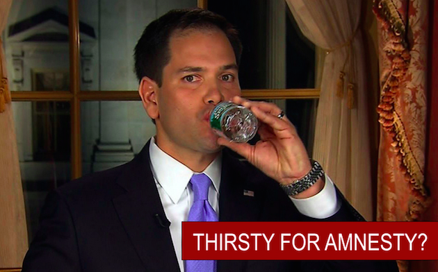 New Website Attacking Marco Rubio Has Trump's Fingerprints