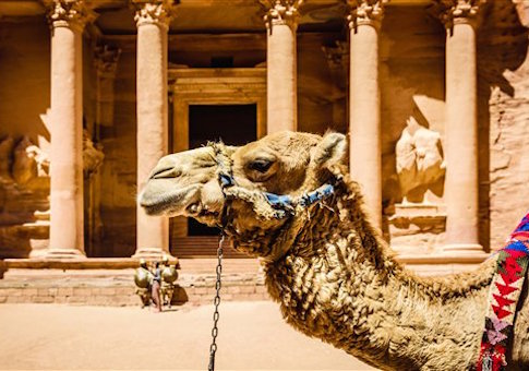 The West Should Stop Apologizing for the Middle East
