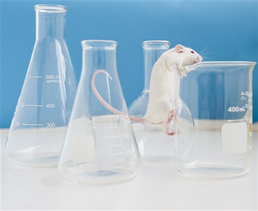 NIH Spent $10.1 Million to Address ‘Gender-Bias’ for Mice