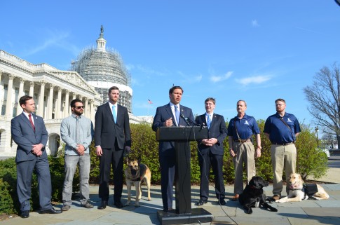 PAWS Act Seeks to Help Veterans With PTSD Get Service Dogs